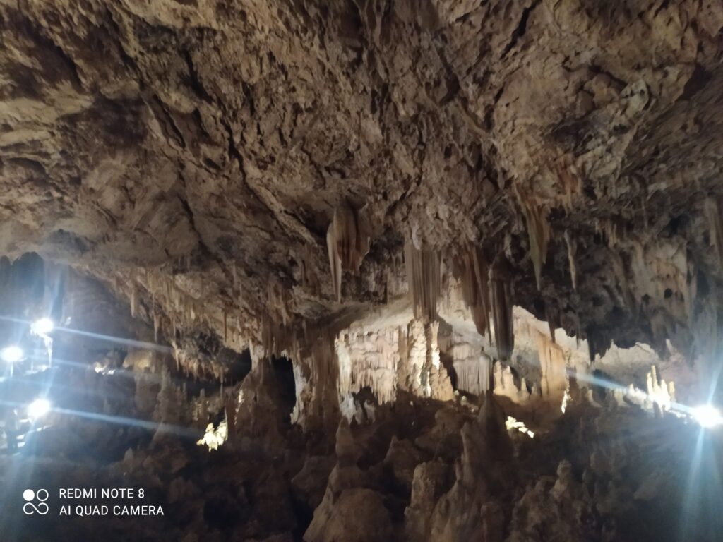 IMG 20250314 110002